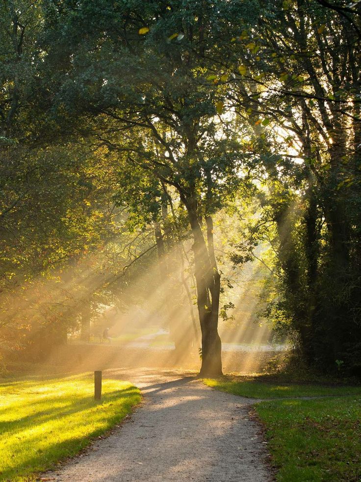 Menemukan Ketenangan Kecil di Tengah Kesibukan Hari